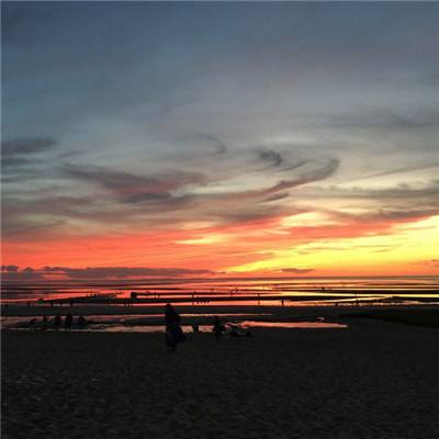 熊猫娱乐app下载手机版